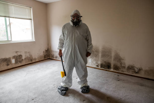 Best Mold Prevention Services  in Bagdad, FL